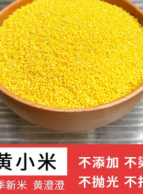 【直播专享】金苗K1小米黄小米500g/包（拍5）