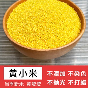 【直播专享】金奶奶有机金苗K1小米黄小米500g/包（拍5）