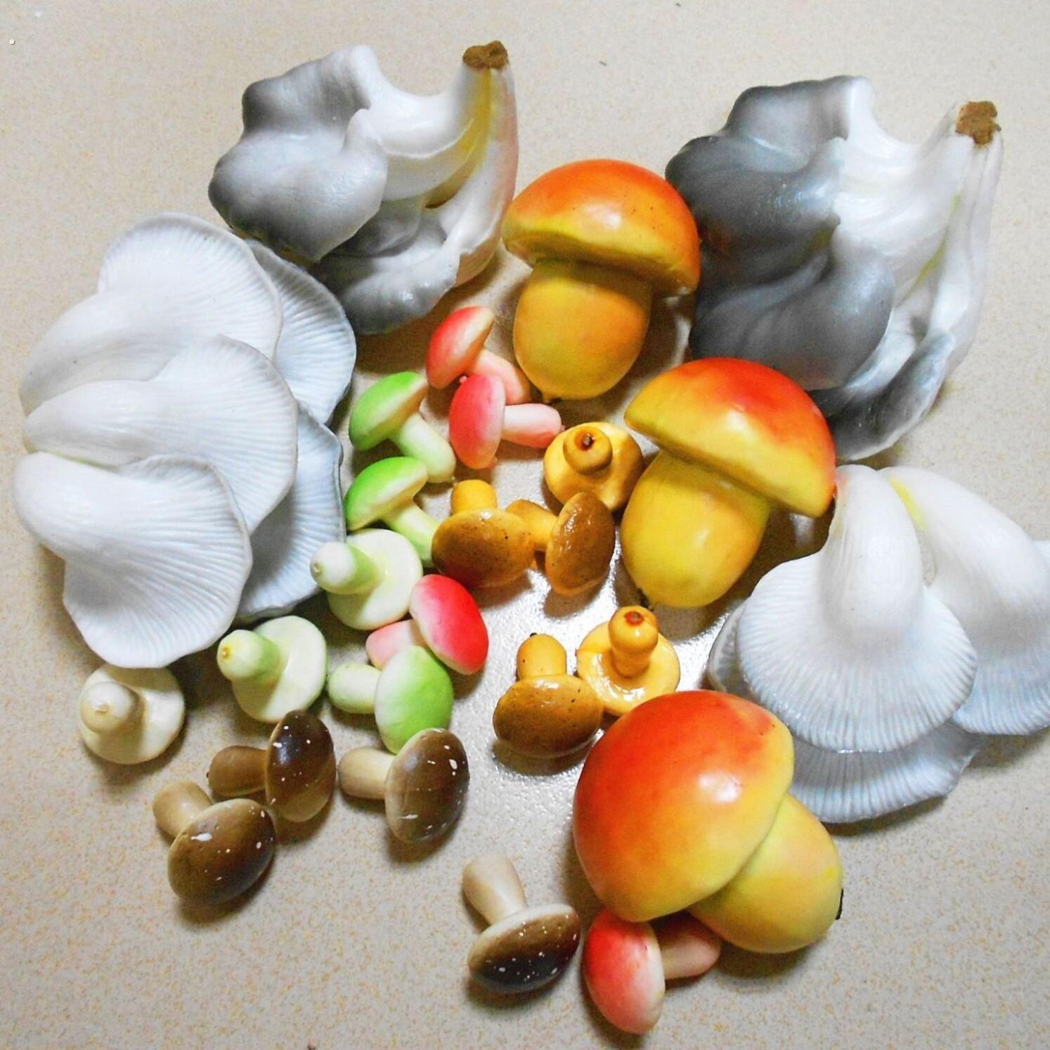 彷真蘑菇迷你五色蘑菇平菇杏鲍菇真菌模型超市橱柜游乐场展示道具