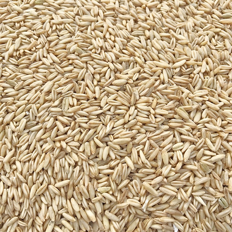 燕麦米 鸟食 鸟粮 雀麦 野麦 燕麦仁 虎皮鹦鹉 牡丹玄风鸟吃 500g图片