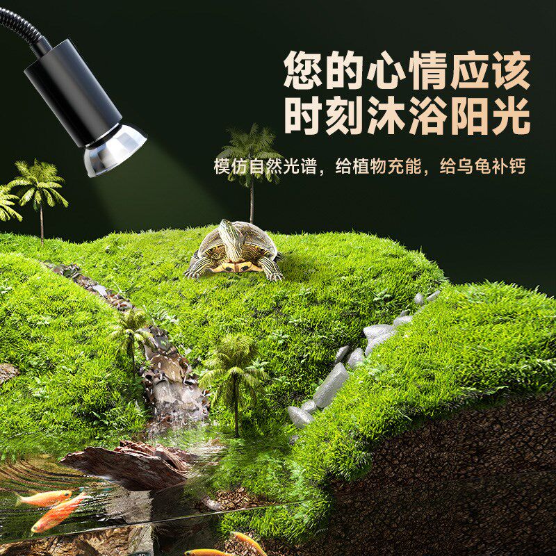 生态乌龟缸造景全套饲养鱼龟混养懒人养龟小型小乌龟专用家用鱼缸