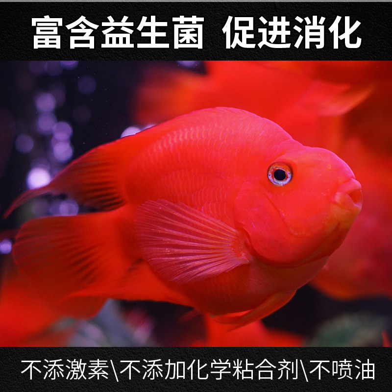 血鹦鹉专用鱼饲料热带鱼地图鱼罗汉鱼食增红增艳小颗粒招财鱼粮