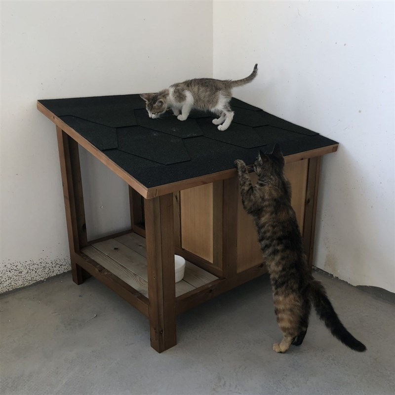 流浪猫屋户外猫产房防水挡风室外猫窝狗窝冬季保暖别墅室外窝四季