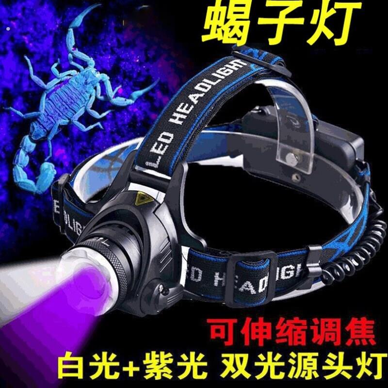 专用灯年新款蝎子灯大功率高强紫光灯照蝎专用手电筒超用的