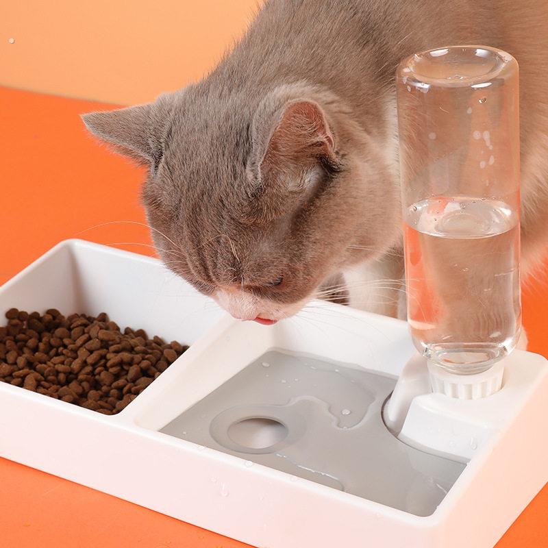 猫碗自动喂食饮水器狗碗双碗狗狗不湿嘴猫水碗食盆防打翻猫咪用品