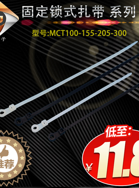 MCT-100/155/205固定锁式束线带带孔扎带螺丝固定线扎带
