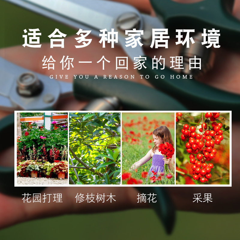 园艺迷你修花小剪刀养花多肉植物枝叶修剪园林修枝剪小花剪