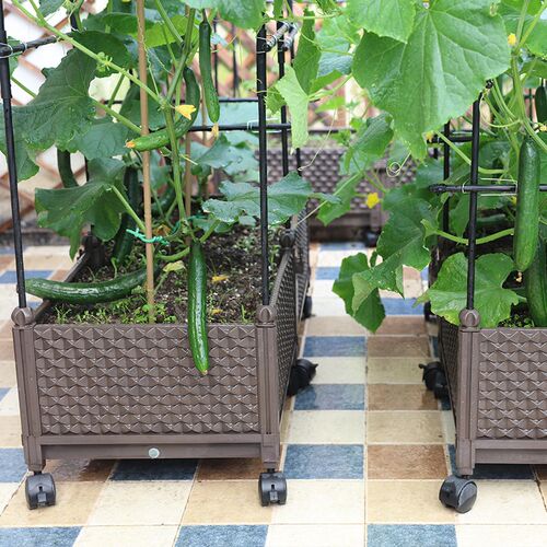种植箱家庭阳台蔬菜专用菜盆种菜神器楼顶长方形塑料花盆特大花箱