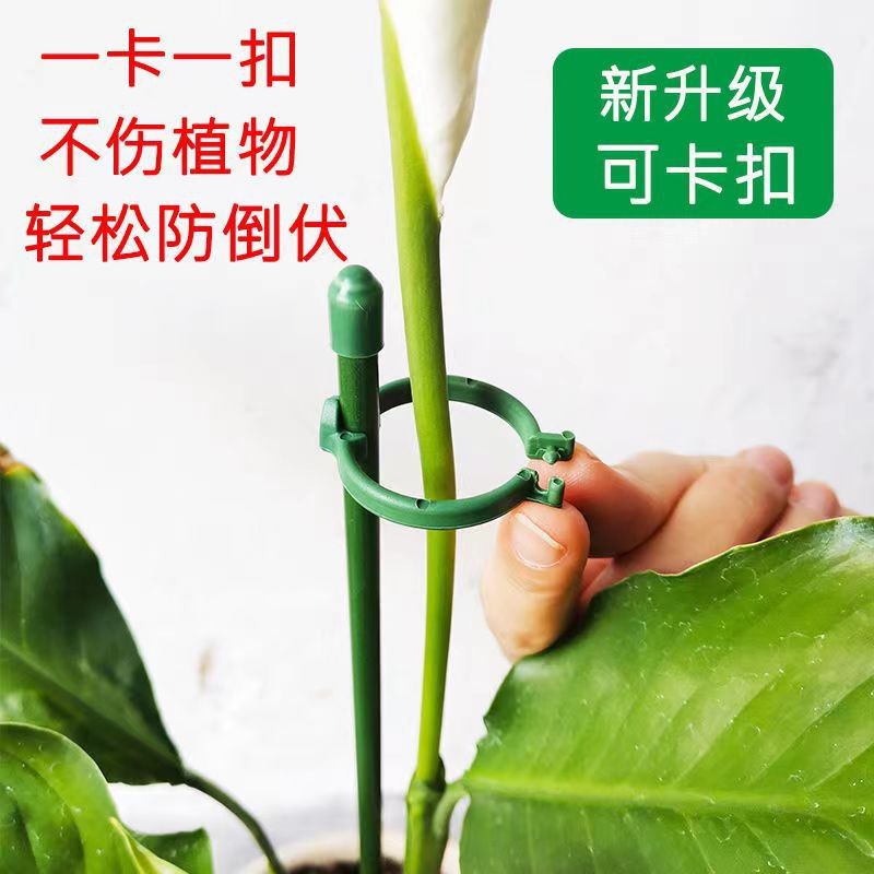 园艺花架支撑杆花卉植物盆栽防倒固定器蝴蝶兰花支架卡扣式支撑架图片