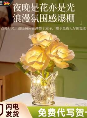 德国新年生日礼物给女生实用的高级感小夜灯氛围台灯妇女节送妈妈