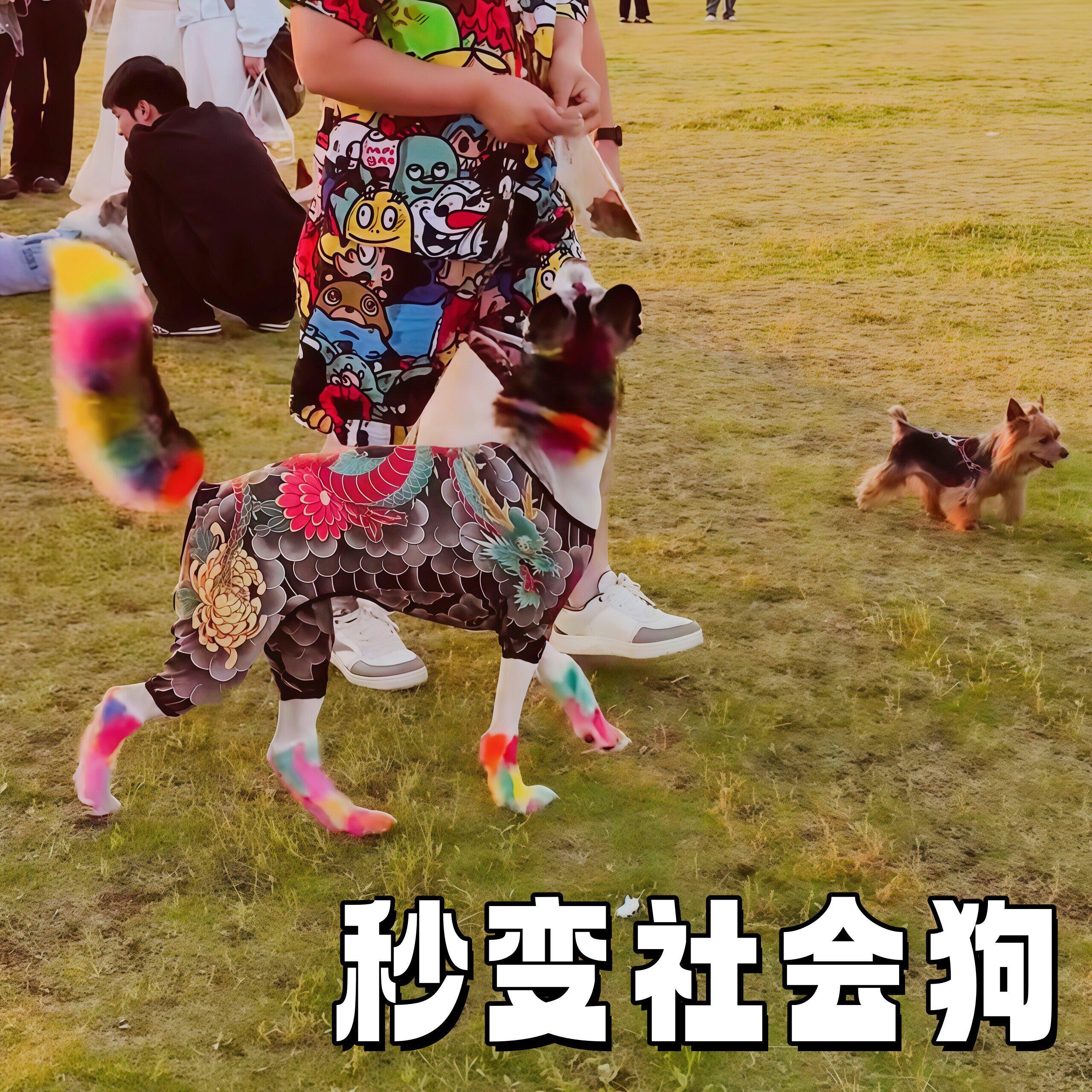 【社会狗纹身衣】宠物衣服猫狗痞帅小型犬大型犬通用夏季防晒衣服