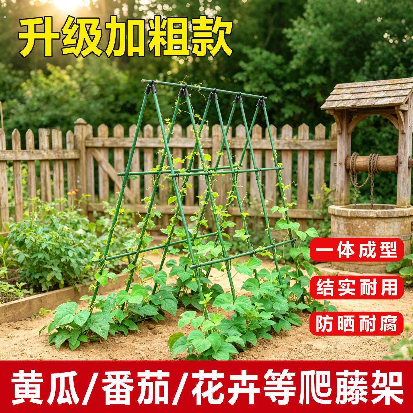 黄瓜爬藤架子四季豆架杆植物支伸缩杆种菜架子园艺菜地支架葡萄架