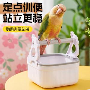 小太阳鹦鹉拉屎神器定点排便站架厕所训练专用鸟站杆站台用品大全