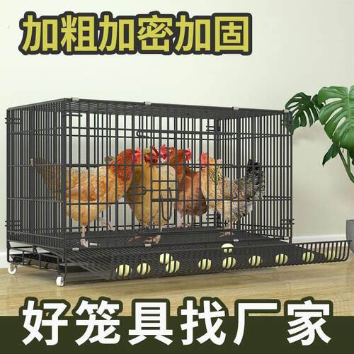 鸡笼家用小号大号特大号自动清粪鸭子鹅家禽折叠养殖笼鸡舍鸡笼子