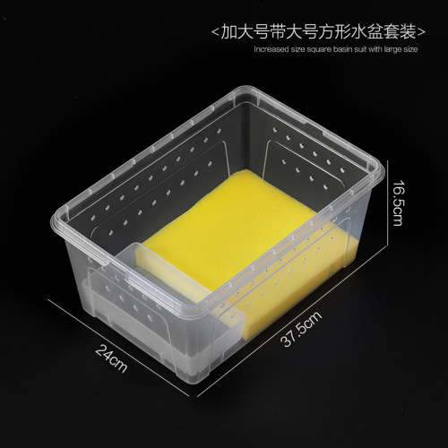 角蛙饲养盒套装角蛙饲养箱角蛙专用生化棉角蛙垫材角蛙两栖爬台