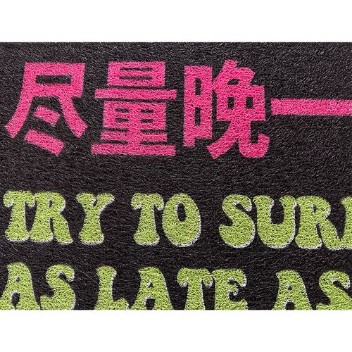 尽量晚一点投降丝圈地垫地毯入户公社计划经济部