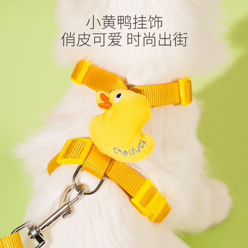猫咪牵引绳防挣脱外出专用猫绳子宠物背带链子可调节网红遛猫绳