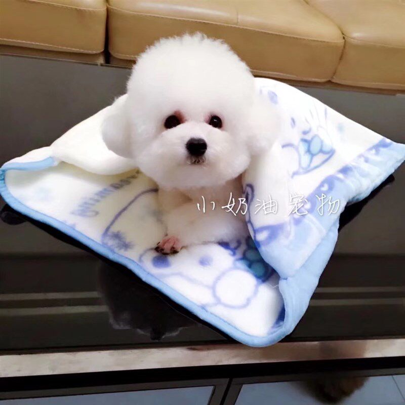 包邮宠物睡袋加厚毛毯保暖猫咪垫子春夏四季通用狗狗窝垫睡袋