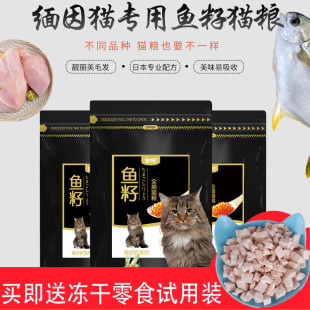 缅因猫专用鱼籽猫粮宠之初成幼猫3斤天然主粮美亮靓毛去毛球包邮