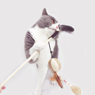 猫咪玩具逗猫棒仙女磨牙棒小猫咪斗猫棒羽毛宠物布偶猫蓝猫用品