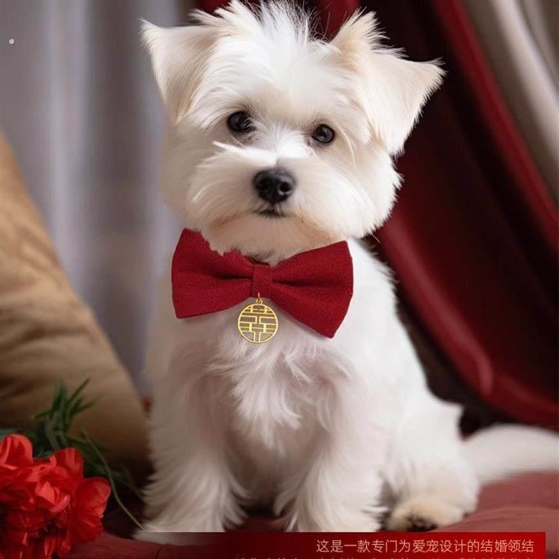 狗狗领结红色喜字衣服小猫咪结婚装饰围脖大狗宠物婚礼蝴蝶结项圈