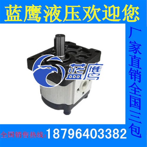 CBTt-F304/F306/F308/F310/F312/F314/F316/F320/F325F3P7齿轮泵