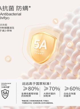 女童打底衫春秋新款儿童长袖T恤大童内搭半高领秋冬上衣白色童装
