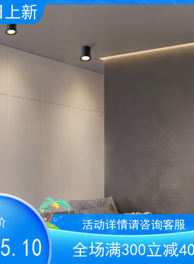 西顿照明CDN明装射灯免开孔吸顶客厅卧室走廊led天花灯CEX9101C-J