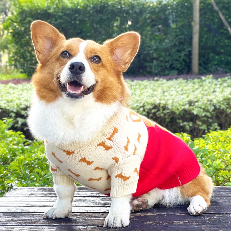 狗新年衣服柯基保暖毛衣中小型犬比熊雪纳瑞柴犬奶狗冬季过年衣服