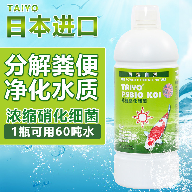 鱼缸硝化细菌锦鲤专用水族活菌净水剂养鱼用品鱼药水鱼池消化细菌