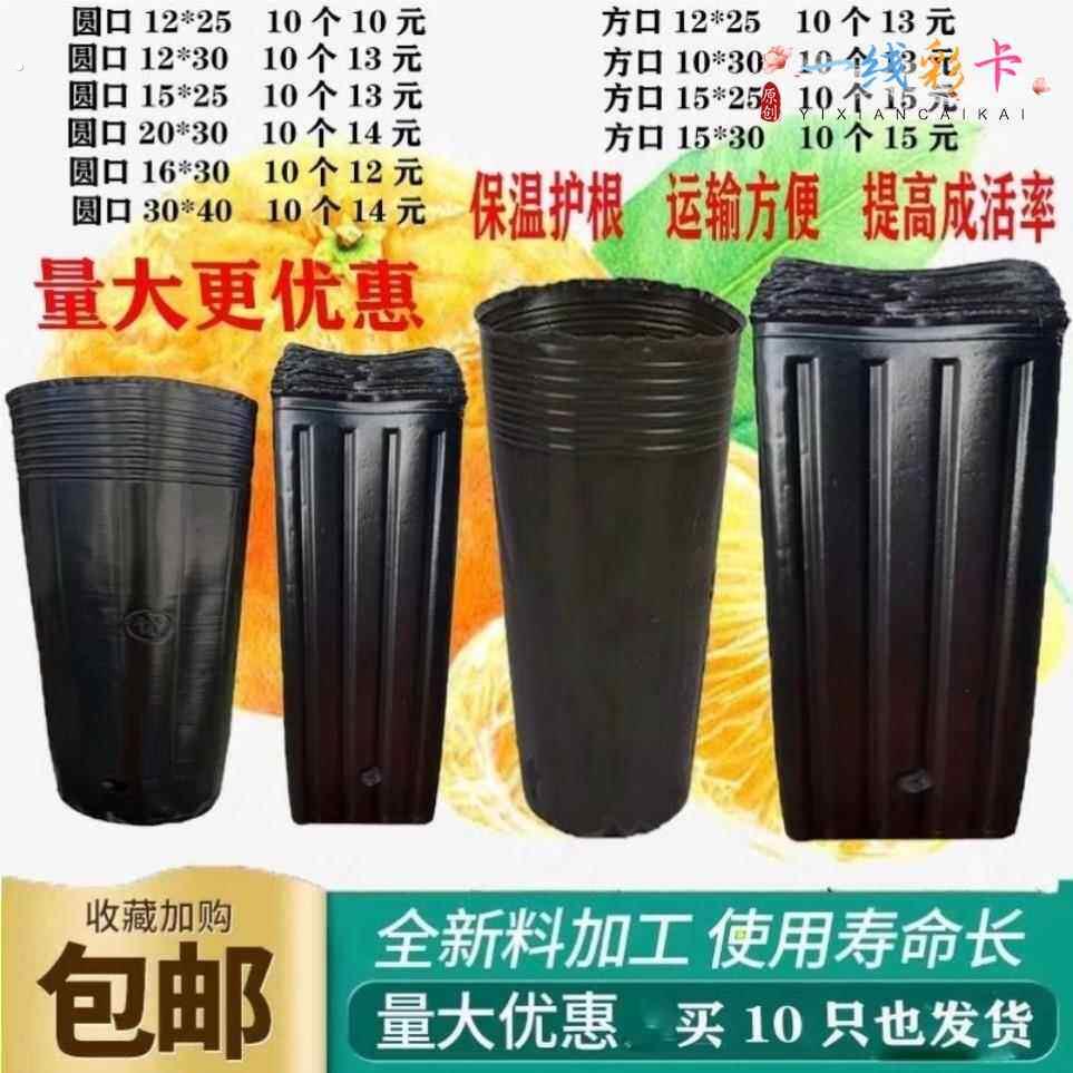 韭黄种植黑罩子家用隔光用套筒韭菜遮光筒塑料罩防晒农业圆柱盖子