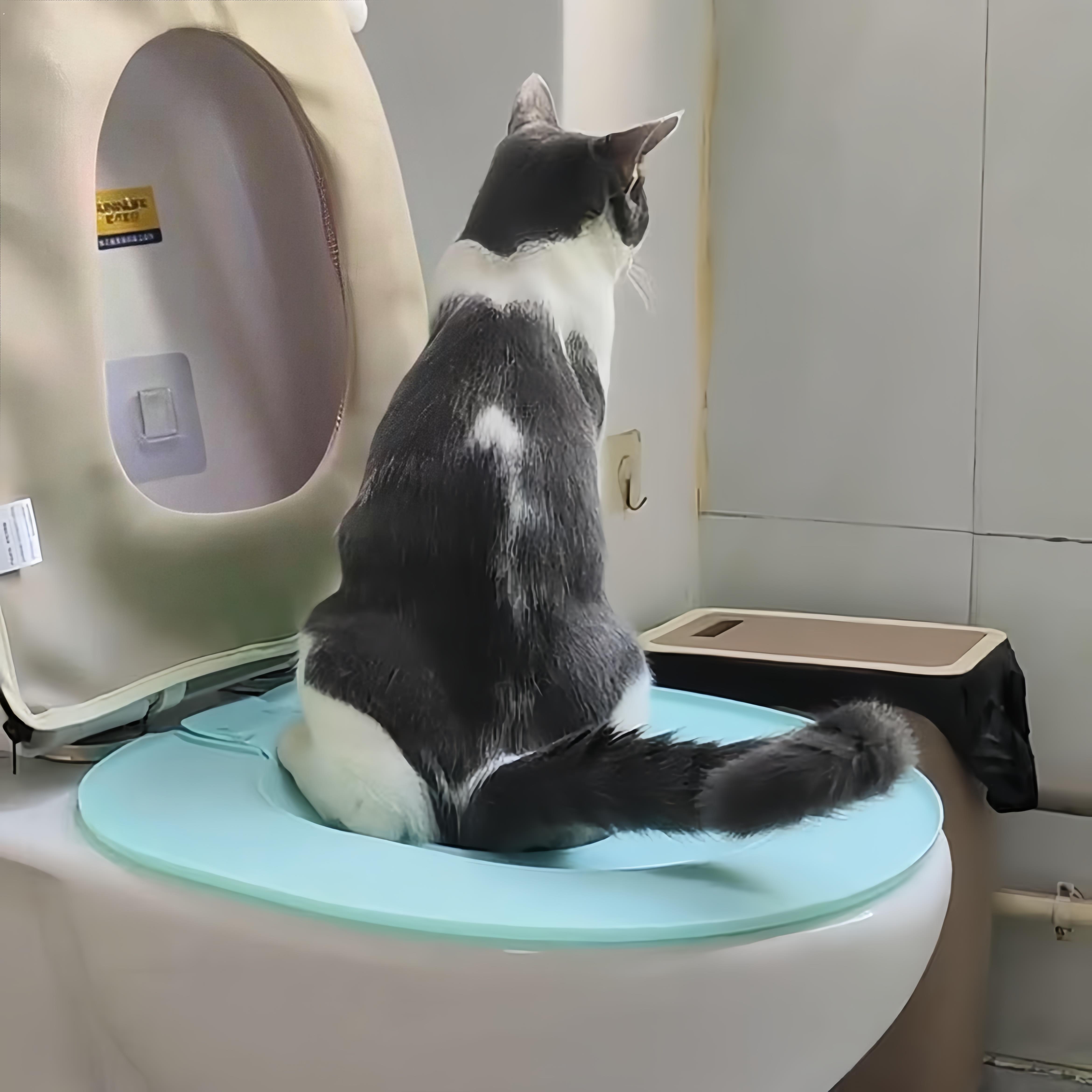 猫厕所训练器宠物开放式马桶圈防臭坐便盆猫咪大小便可拆卸猫砂盘