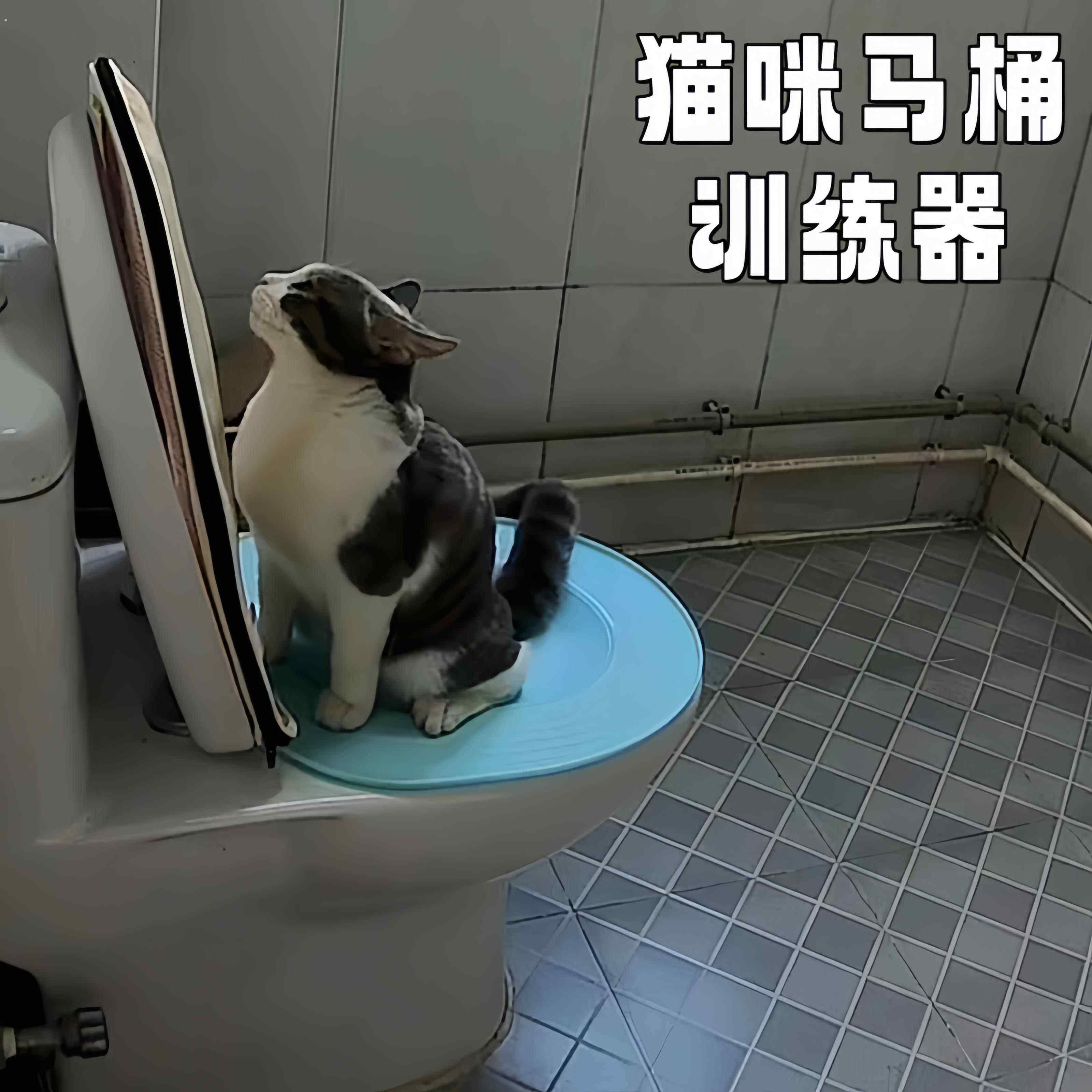 猫咪马桶训练器上厕所蹲厕训练神器可拆卸坐便猫砂盆防外溅猫砂盘