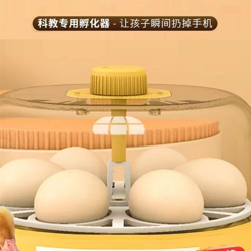 宠物孵化器小黄鸭全自动翻蛋孵化机箱儿童智能孵蛋器迷你小型家用