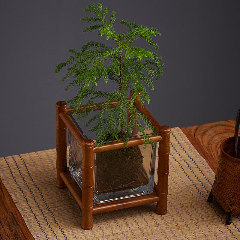 竹制桌面小鱼缸架茶室装饰花几盆景绿植水培架展示台案几置物架