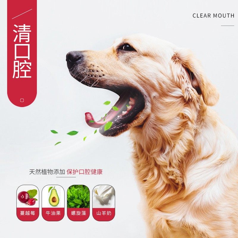 2盒昵趣洁齿磨牙棒骨狗狗泰迪幼犬成犬宠物咬胶呢趣妮趣
