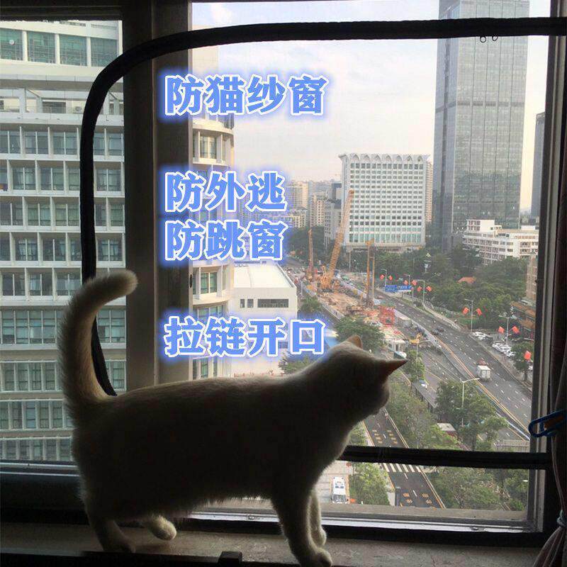 防猫纱窗跳窗逃跑封窗网挡猫隔离家用防蚊网拦外出跳楼