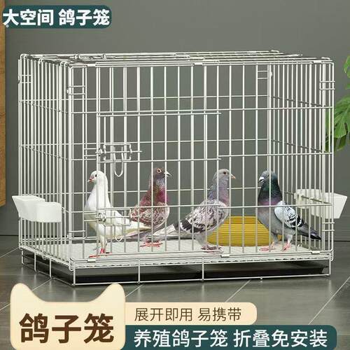 鸽子笼鸟笼子大号鹦鹉笼子芦丁鸡笼网红鹌鹑鸡窝宠物家用豪华别墅