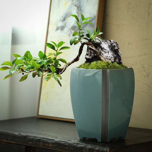 特大号兰花专用花盆陶瓷哥窑紫砂盆景造景盆高款中式室内绿植盆栽