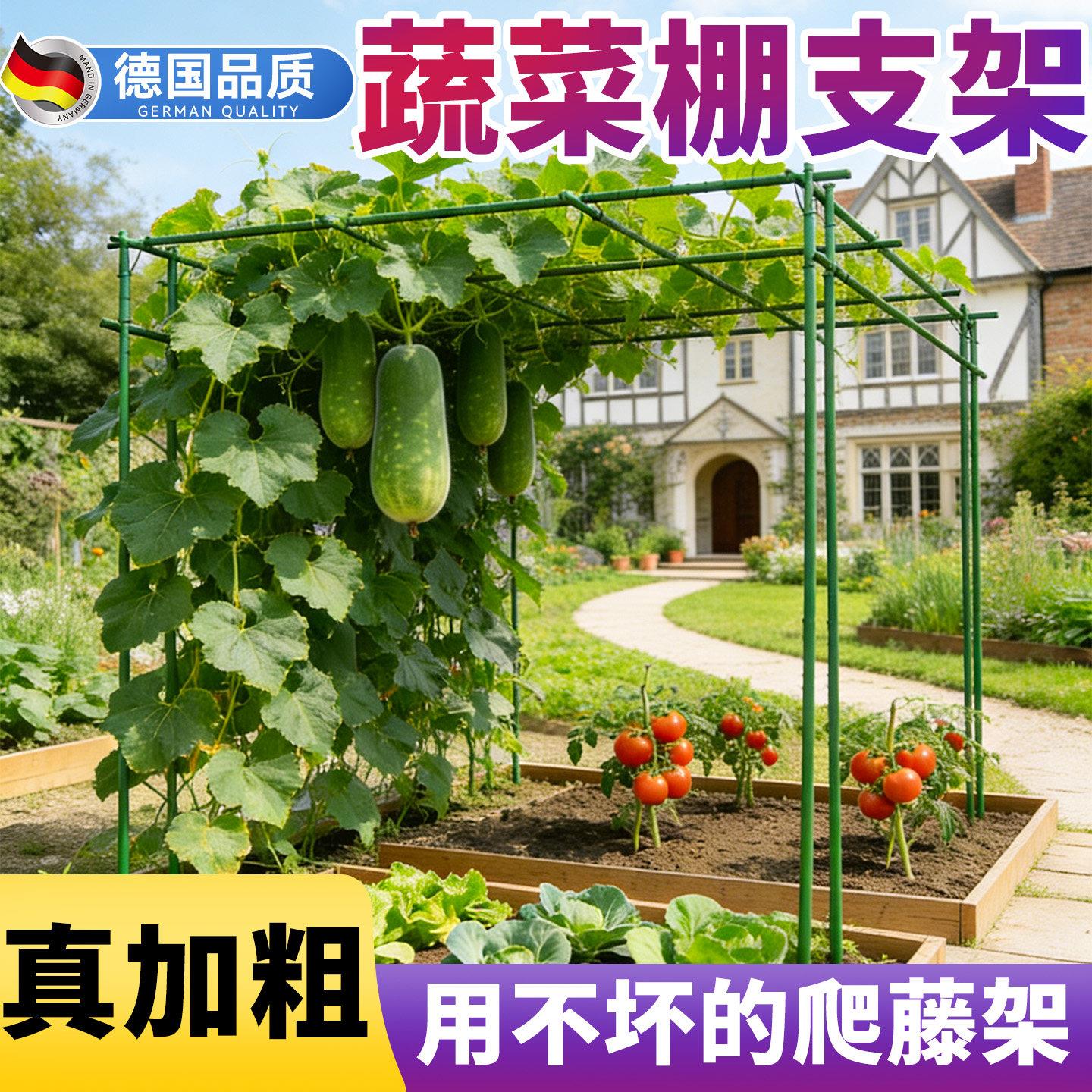 蔬菜棚支架葡萄架子庭院户外百香果爬藤架黄瓜架杆丝瓜葫芦支撑杆