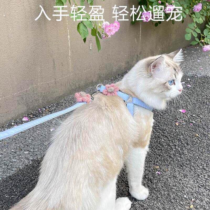 小猫咪牵引绳防挣脱外出专用宠物可调节溜猫狗狗背带遛猫遛狗绳子