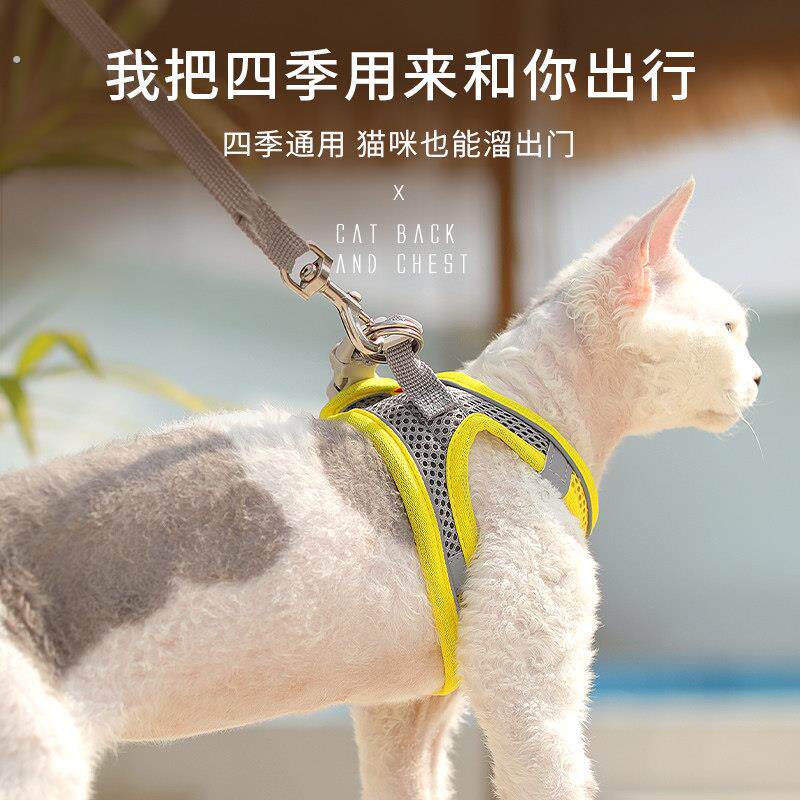 猫咪牵引绳外出猫链子可调节防挣脱溜猫专用猫绳子夏季透气幼猫猫