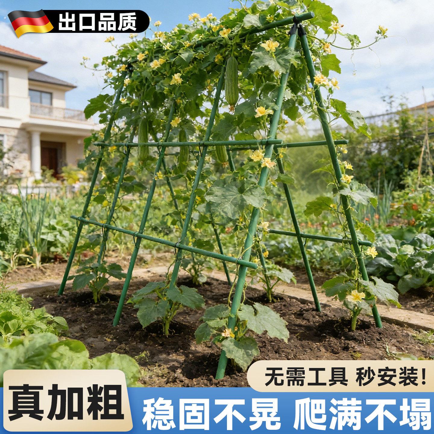 丝瓜爬藤架支撑杆黄瓜架子豆角架杆西红柿支撑杆葡萄架子庭院户外