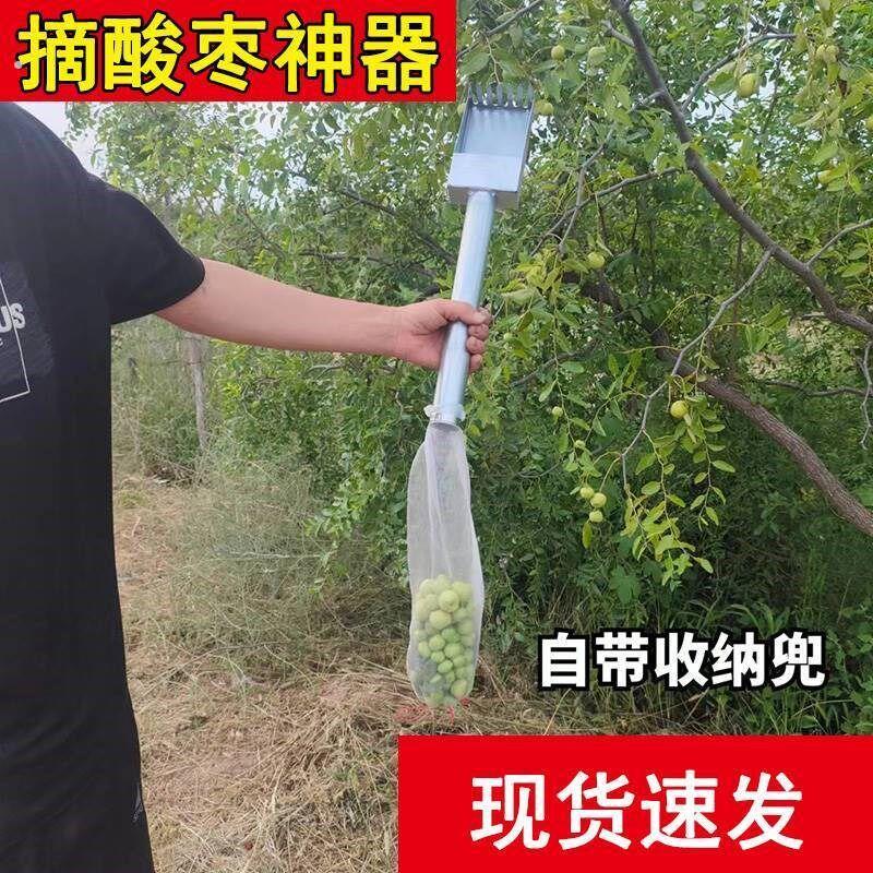新款酸枣采摘神器山枣捡收夹采摘酸枣神器专用工具大小通吃不扎手