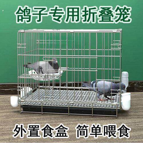 鸽子笼养鸽子专用笼养殖笼家用繁殖笼配对笼大号新型鸽舍鸽子笼子
