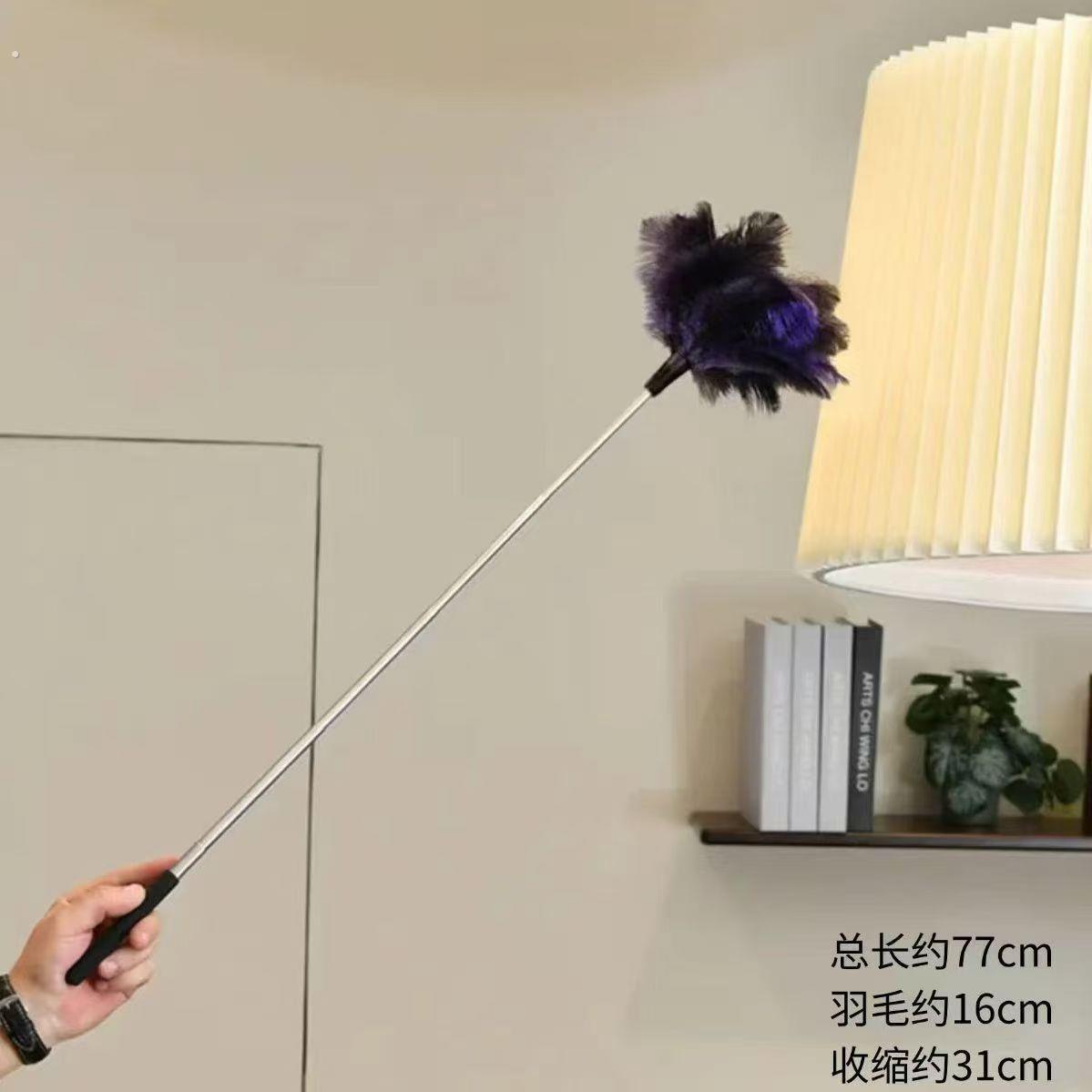 鸡毛掸子家用鸵鸟毛除尘掸扫灰静电掸子清洁神器诧寂风摆件软装饰