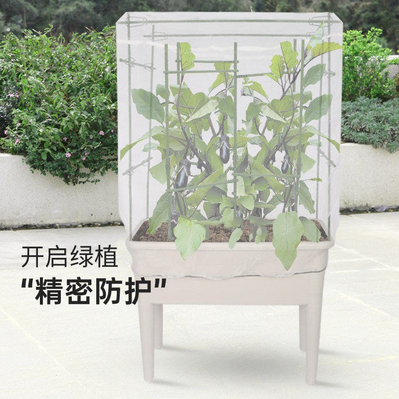 防鸟防虫网罩蔬菜园艺防冰雹病虫害蚊虫果蝇针蜂透气白纱网套罩大