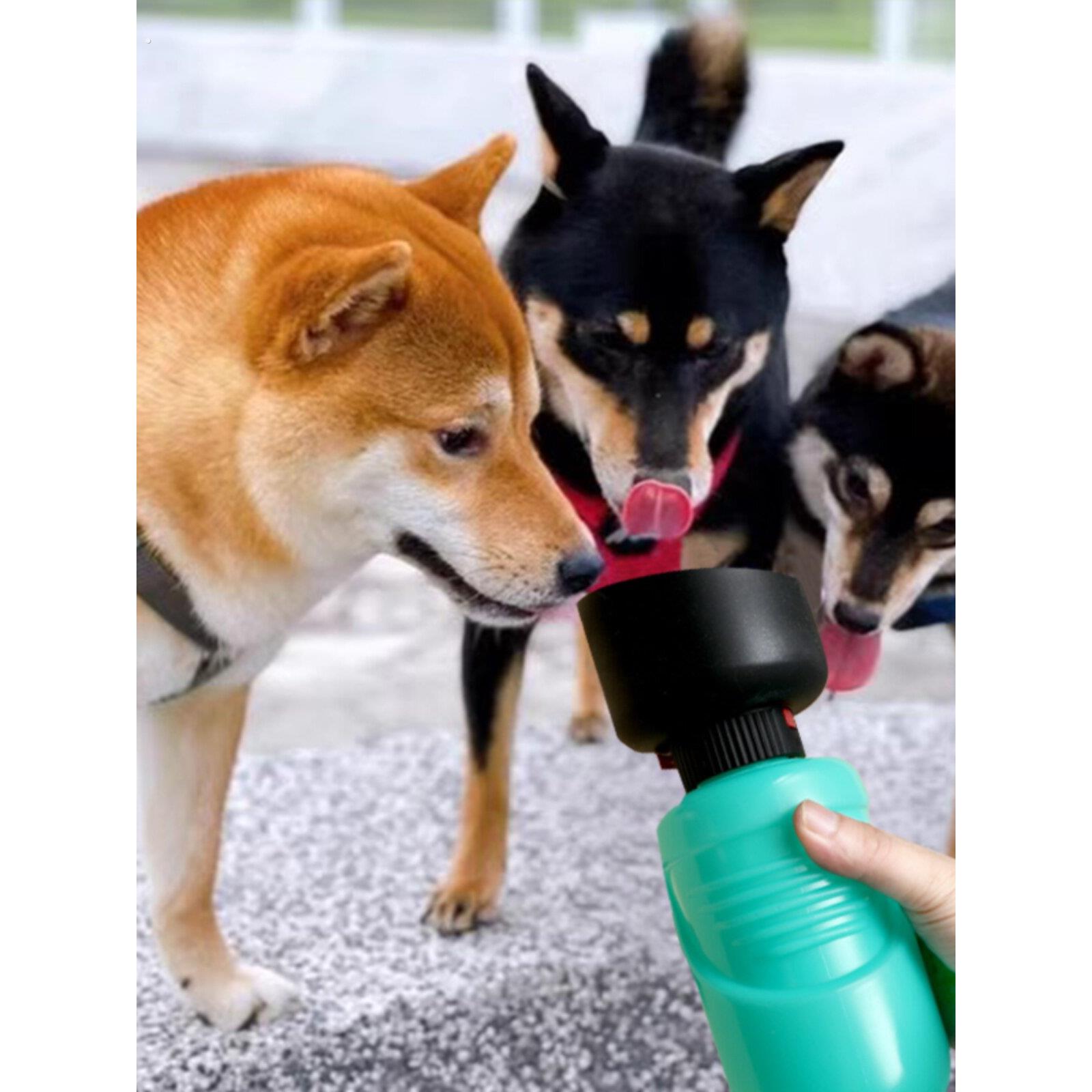 狗狗外出水杯便携式折叠水壶户外出行遛狗喂水器喝水神器随行杯子