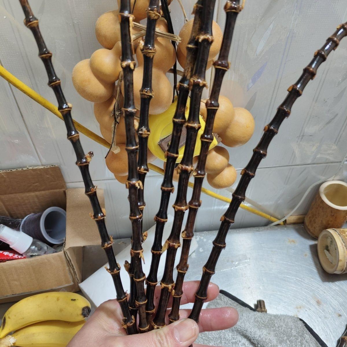 紫竹根(阴干老料)手镯料葫芦镶口鼓鞭料 直径范围只能标准大概