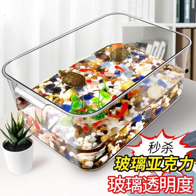 压克力龟缸养乌龟黄缘龟专用缸家用草龟的养殖箱桌面透明饲养箱子图片